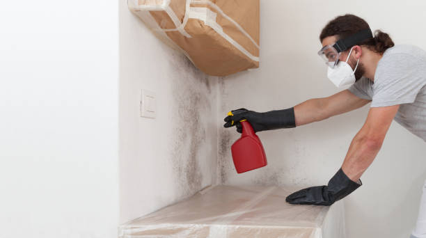 Professional Crawl Space Mold Removal technician working in Matawan, NJ