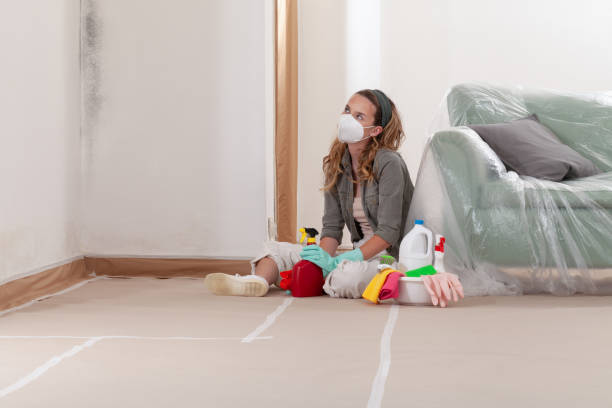 Reliable Mold Remediation contractor in Matawan, NJ by Cheap Mold Removal