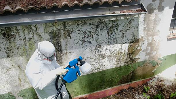 Trusted Crawl Space Mold Removal service in Matawan, NJ - Cheap Mold Removal